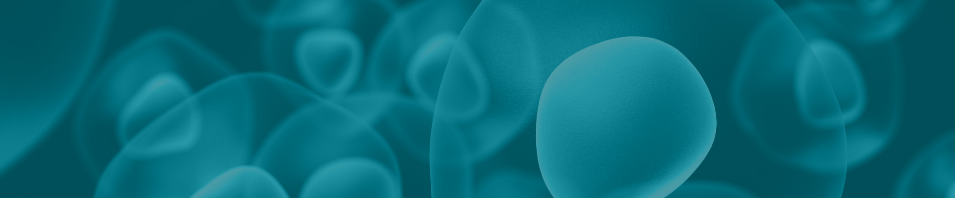 2025_ banner trang mục 03.jpg